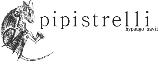 Logo pipistrelli